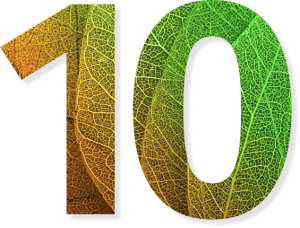 新葡萄官网下载