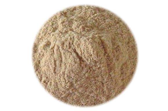 新葡萄官网下载