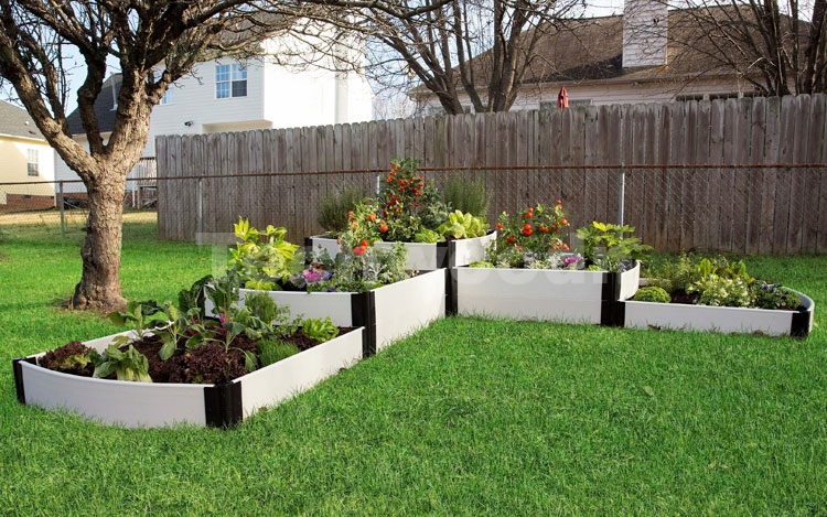 新葡萄官网下载